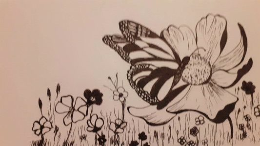 Josie, butterfly meadow.jpeg